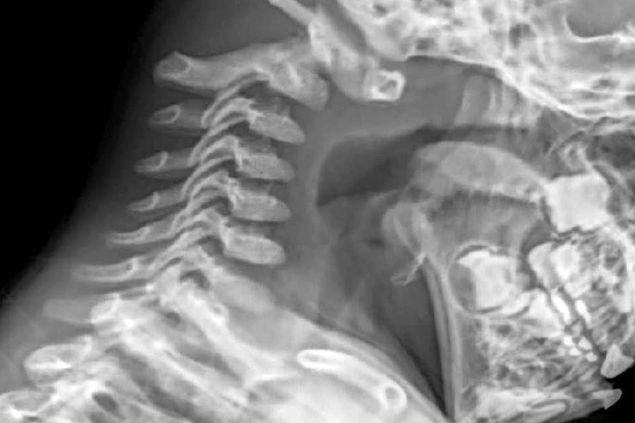 Radiologia