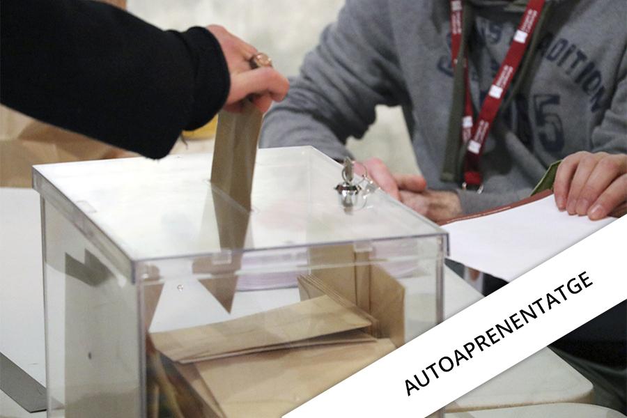 eleccions laborals