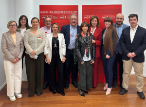Reunió d'APEMYF amb el Grup Parlamentari Socialista