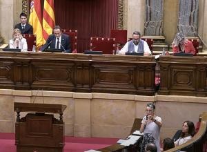La consellera Pané al Parlament