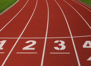 Carrera professional 2026