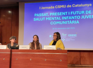 MC assisteix a la I Jornada de CSMIJ de salut mental