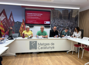 La direcció de Metges de Catalunya durant el seminari web sobre la vaga