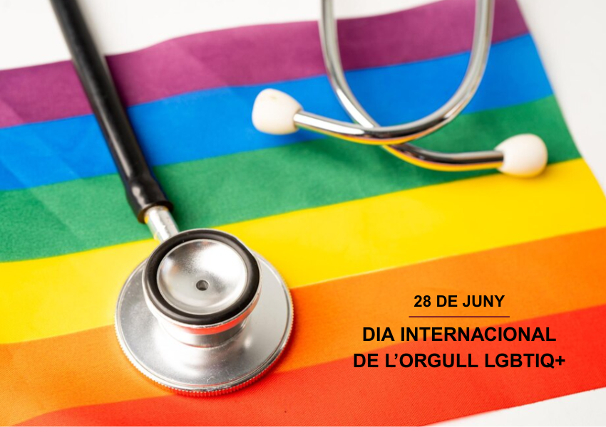 Dia Orgull LGTBIQ+ 2025