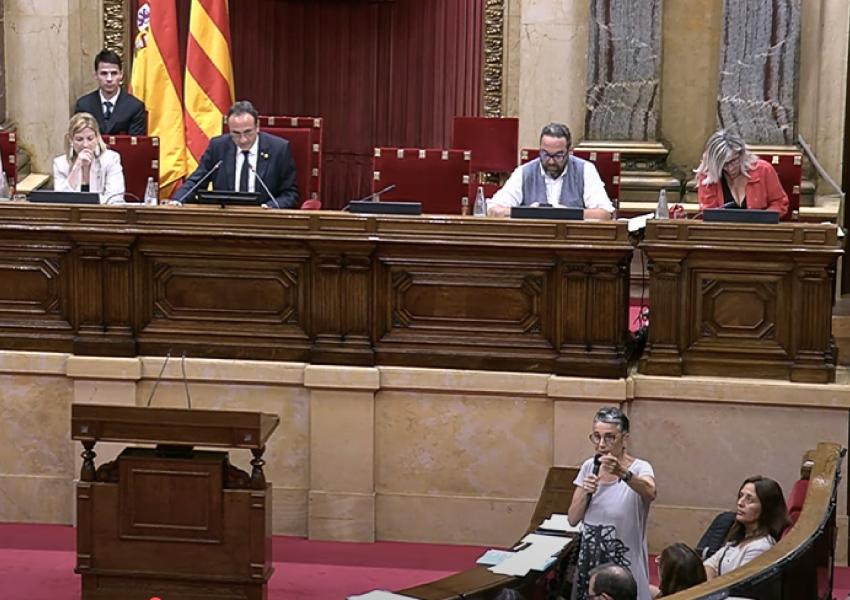 La consellera Pané al Parlament